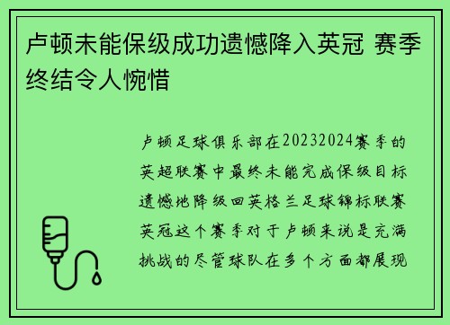 卢顿未能保级成功遗憾降入英冠 赛季终结令人惋惜 卢顿未能保级成功遗憾降入英冠 赛季终结令人惋惜